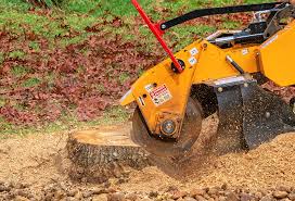 Best Pest Control for Lawns  in Muenster, TX